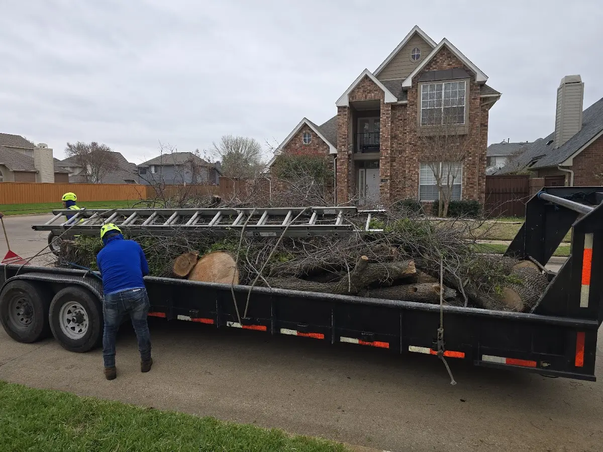 Expert Crown Reduction with proper safety equipment in Chipley
